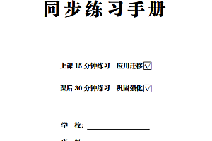 2024人教版九年级上册化学15+30同步练习手册word